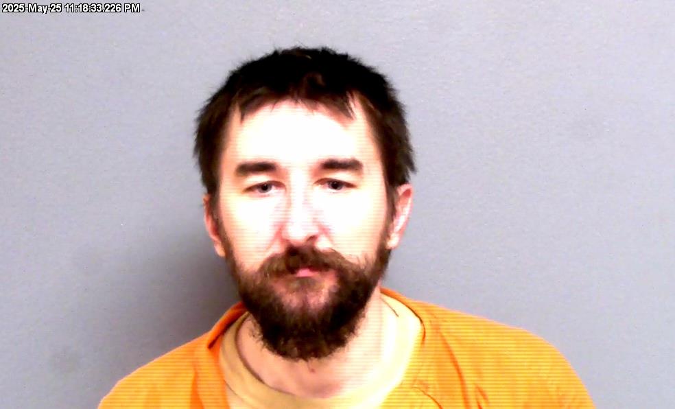 SCHMIDT, MICHAEL ANTHONY